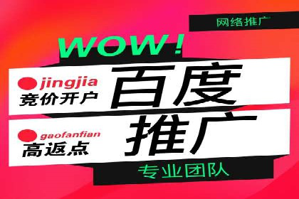 百度推广实战技巧：案例详解
