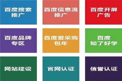成功案例：专业SEM托管助力电商销售额翻倍
